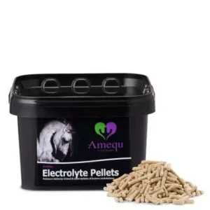 Electrolyte Pellets
