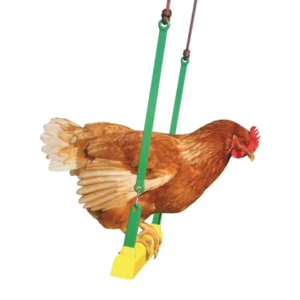 RYOM Gynge til høns