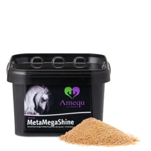 MetaMegaShine