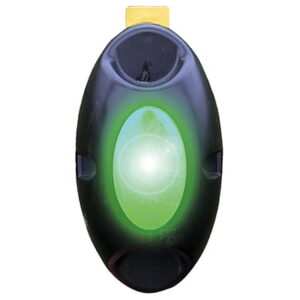 Hegnsalarm Flash 2000