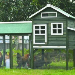 Hønsehus usaml. grøn 225X95X143 cm