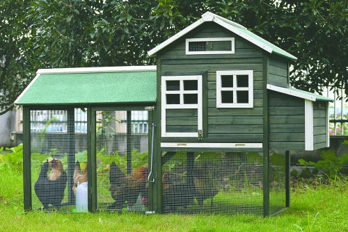 Hønsehus usaml. grøn 225X95X143 cm